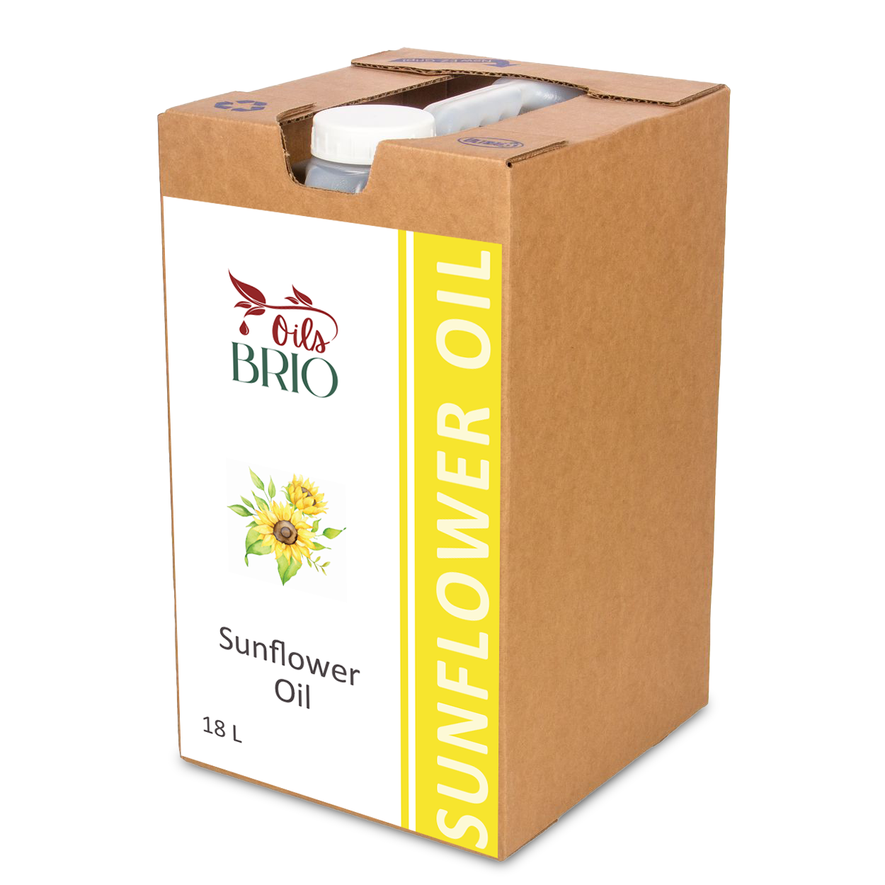 World of BRIO Sunflower Oil 18 Liter (36 lb)