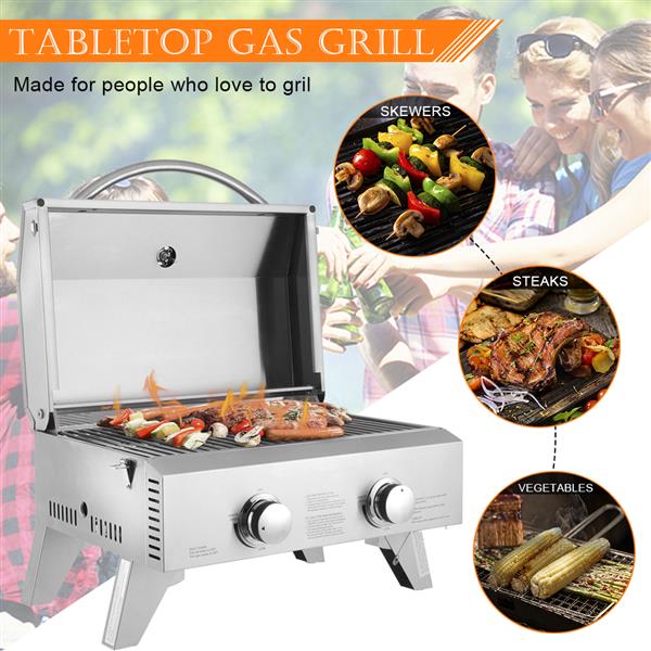 Stainless Steel Oven Gas Oven Double Row Double Head Small Oven