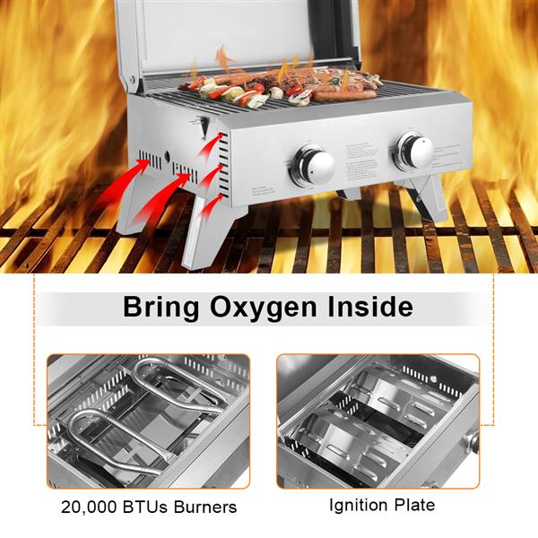 Stainless Steel Oven Gas Oven Double Row Double Head Small Oven